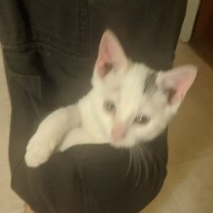 Meet your Posher, Annette